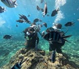 沖縄マリンサービス碧に投稿された画像（2023/8/23）