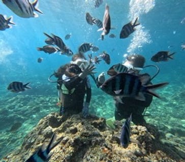 沖縄マリンサービス碧に投稿された画像（2023/8/22）