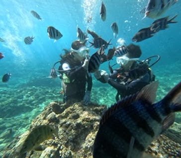 沖縄マリンサービス碧に投稿された画像（2023/8/22）