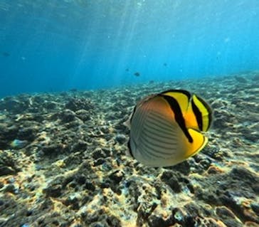 沖縄マリンサービス碧に投稿された画像（2023/8/22）