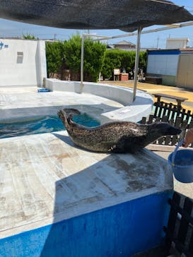 南知多ビーチランド＆南知多おもちゃ王国に投稿された画像（2023/8/23）