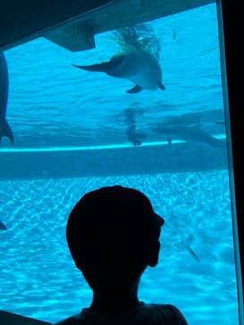 南知多ビーチランド＆南知多おもちゃ王国に投稿された画像（2023/8/23）