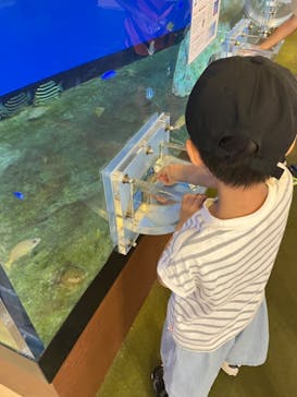 南知多ビーチランド＆南知多おもちゃ王国に投稿された画像（2023/8/23）