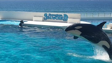 鴨川シーワールドに投稿された画像（2023/8/23）