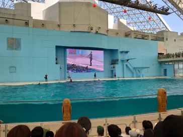 横浜・八景島シーパラダイスに投稿された画像（2023/8/23）