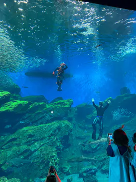 仙台うみの杜水族館に投稿された画像（2023/8/23）