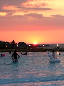 芝政ワールドに投稿された画像（2023/8/23）