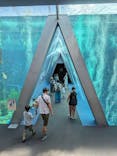 環境水族館アクアマリンふくしまに投稿された画像（2023/8/23）