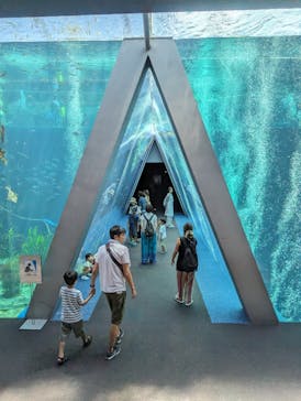 環境水族館アクアマリンふくしまに投稿された画像（2023/8/23）
