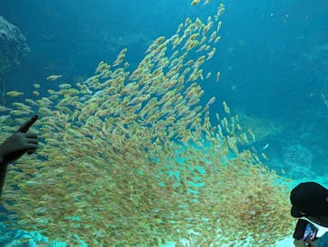 環境水族館アクアマリンふくしまに投稿された画像（2023/8/23）