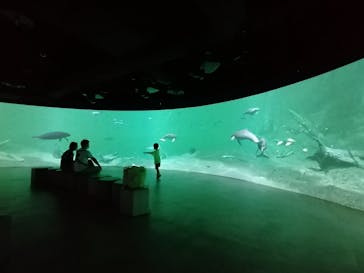 カワスイ 川崎⽔族館に投稿された画像（2023/8/23）