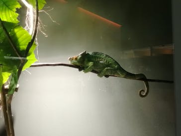 カワスイ 川崎⽔族館に投稿された画像（2023/8/23）