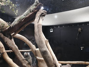 カワスイ 川崎⽔族館に投稿された画像（2023/8/23）