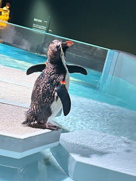 AOAO SAPPOROに投稿された画像（2023/8/23）