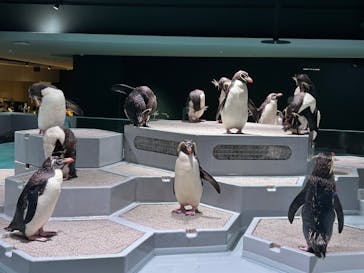 AOAO SAPPOROに投稿された画像（2023/8/23）