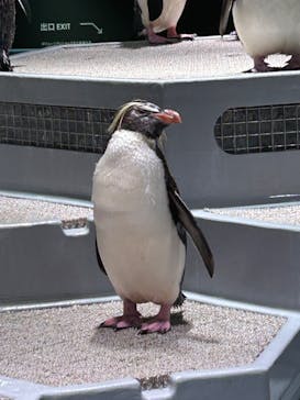 AOAO SAPPOROに投稿された画像（2023/8/23）