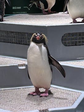 AOAO SAPPOROに投稿された画像（2023/8/23）