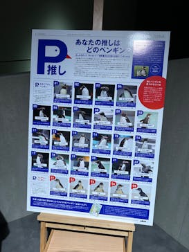 AOAO SAPPOROに投稿された画像（2023/8/23）