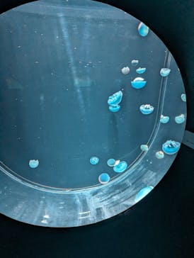 AOAO SAPPOROに投稿された画像（2023/8/23）