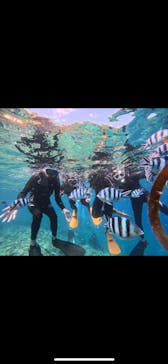 青の洞窟専門店　沖縄ダイビングショップ和に投稿された画像（2023/8/23）