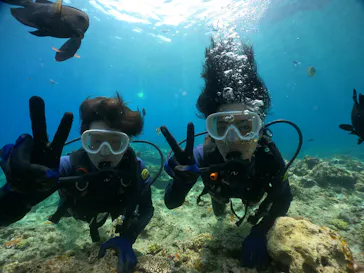 武藤潜水に投稿された画像（2023/8/23）