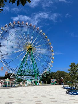 国営ひたち海浜公園プレジャーガーデンに投稿された画像（2023/8/23）