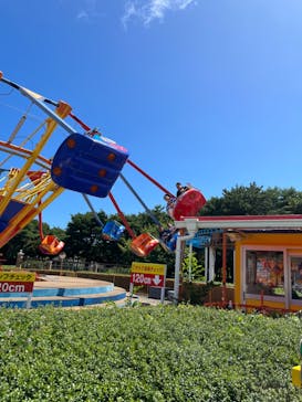 国営ひたち海浜公園プレジャーガーデンに投稿された画像（2023/8/23）