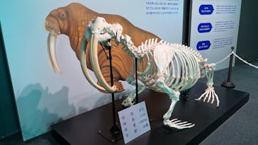 鴨川シーワールドに投稿された画像（2023/8/23）