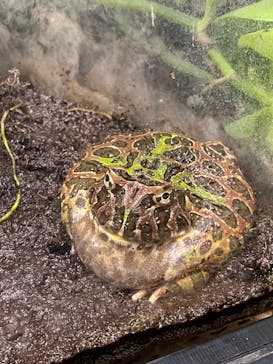 サンシャイン水族館に投稿された画像（2023/8/23）