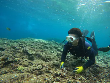 武藤潜水に投稿された画像（2023/8/23）
