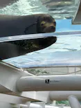 サンシャイン水族館に投稿された画像（2023/8/23）