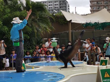 サンシャイン水族館に投稿された画像（2023/8/23）