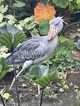 神戸どうぶつ王国に投稿された画像（2023/8/23）