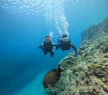 武藤潜水に投稿された画像（2023/8/23）