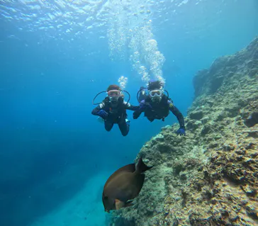 武藤潜水に投稿された画像（2023/8/23）