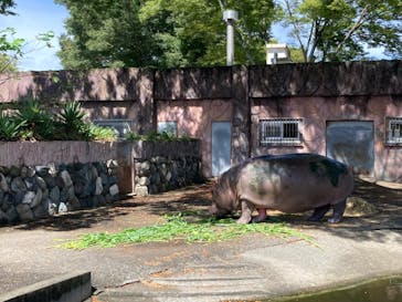 日立市かみね動物園に投稿された画像（2023/8/23）