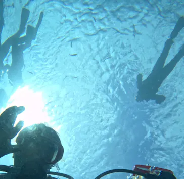 武藤潜水に投稿された画像（2023/8/23）