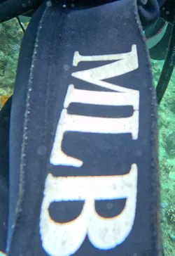 武藤潜水に投稿された画像（2023/8/23）