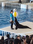 アクアワールド茨城県大洗水族館に投稿された画像（2023/8/23）