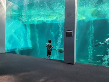 環境水族館アクアマリンふくしまに投稿された画像（2023/8/23）