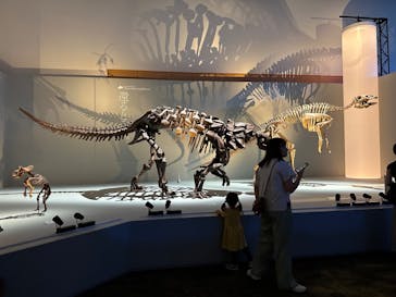 DinoScience 恐竜科学博 2023@TOKYO MIDTOWNに投稿された画像（2023/8/23）