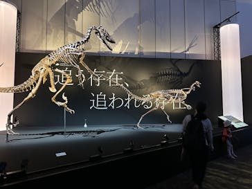 DinoScience 恐竜科学博 2023@TOKYO MIDTOWNに投稿された画像（2023/8/23）