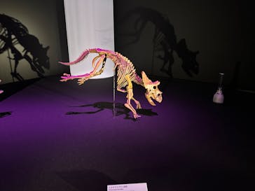 DinoScience 恐竜科学博 2023@TOKYO MIDTOWNに投稿された画像（2023/8/23）