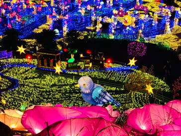 伊豆ぐらんぱる公園に投稿された画像（2023/8/23）