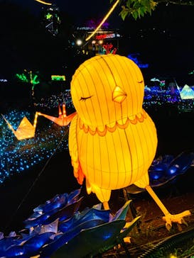 伊豆ぐらんぱる公園に投稿された画像（2023/8/23）