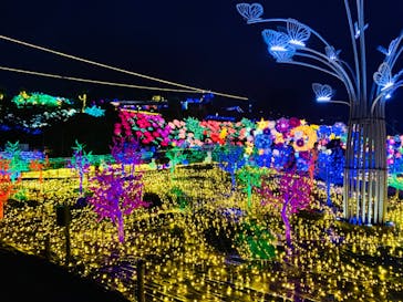 伊豆ぐらんぱる公園に投稿された画像（2023/8/23）