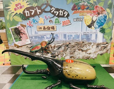 JOYPOLIS 特別イベントスペースに投稿された画像（2023/8/23）