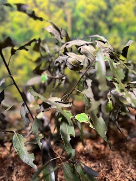 ぶっとんでるいきもの展に投稿された画像（2023/8/23）