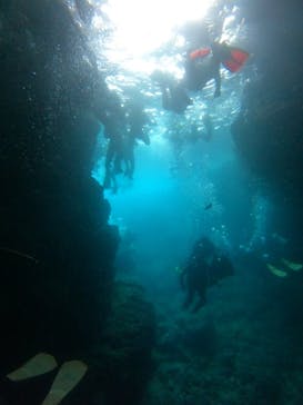 沖縄マリンサービス碧に投稿された画像（2023/8/23）