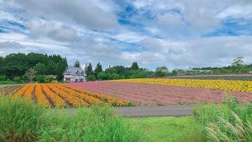 牧歌の里に投稿された画像（2023/8/23）